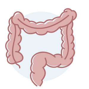 CDSM-COLORECTAL-header-icon.png