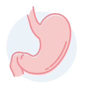 CDSM-STOMACH-header-icon.png